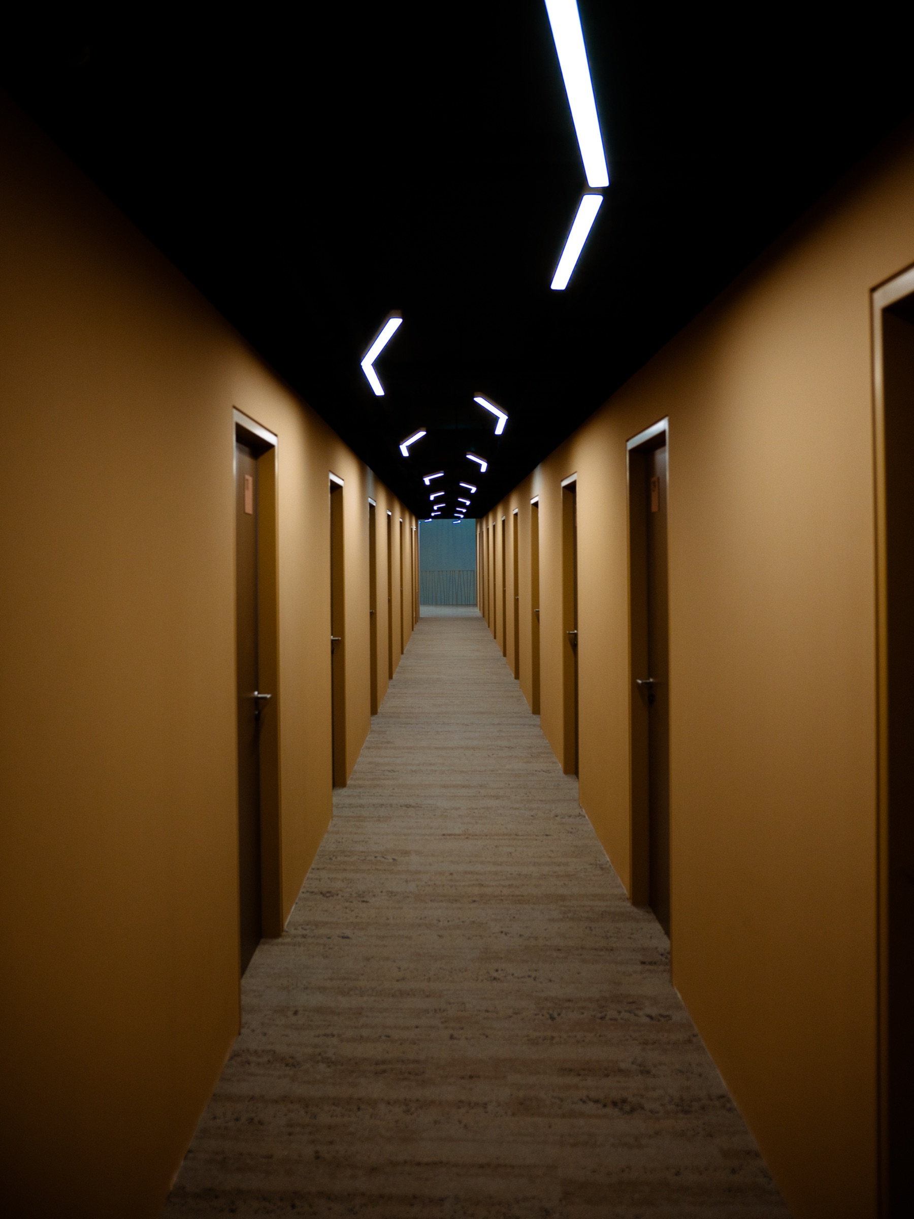 Still / Image 8