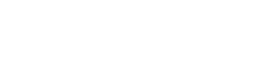 Feyrer Rico